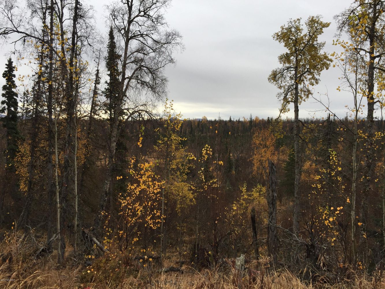 63885 Tailwind Rd, Ninilchik, AK 99639